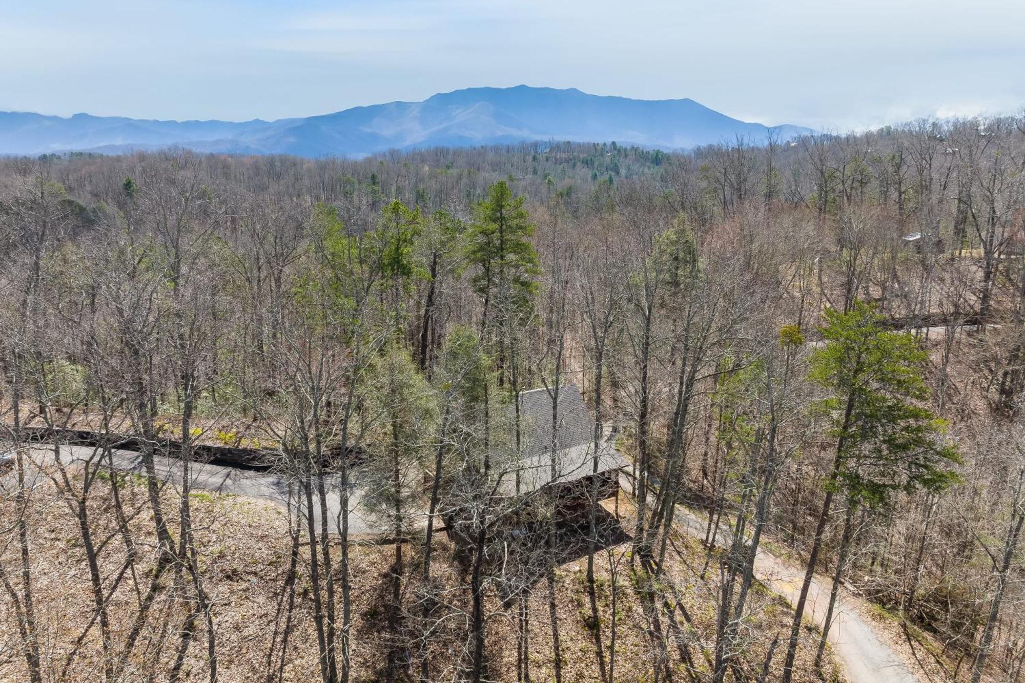 Dudley IV By Avantstay Cosy Cabin W Hot Tub Sweeping Views Pigeon Forge Exterior photo